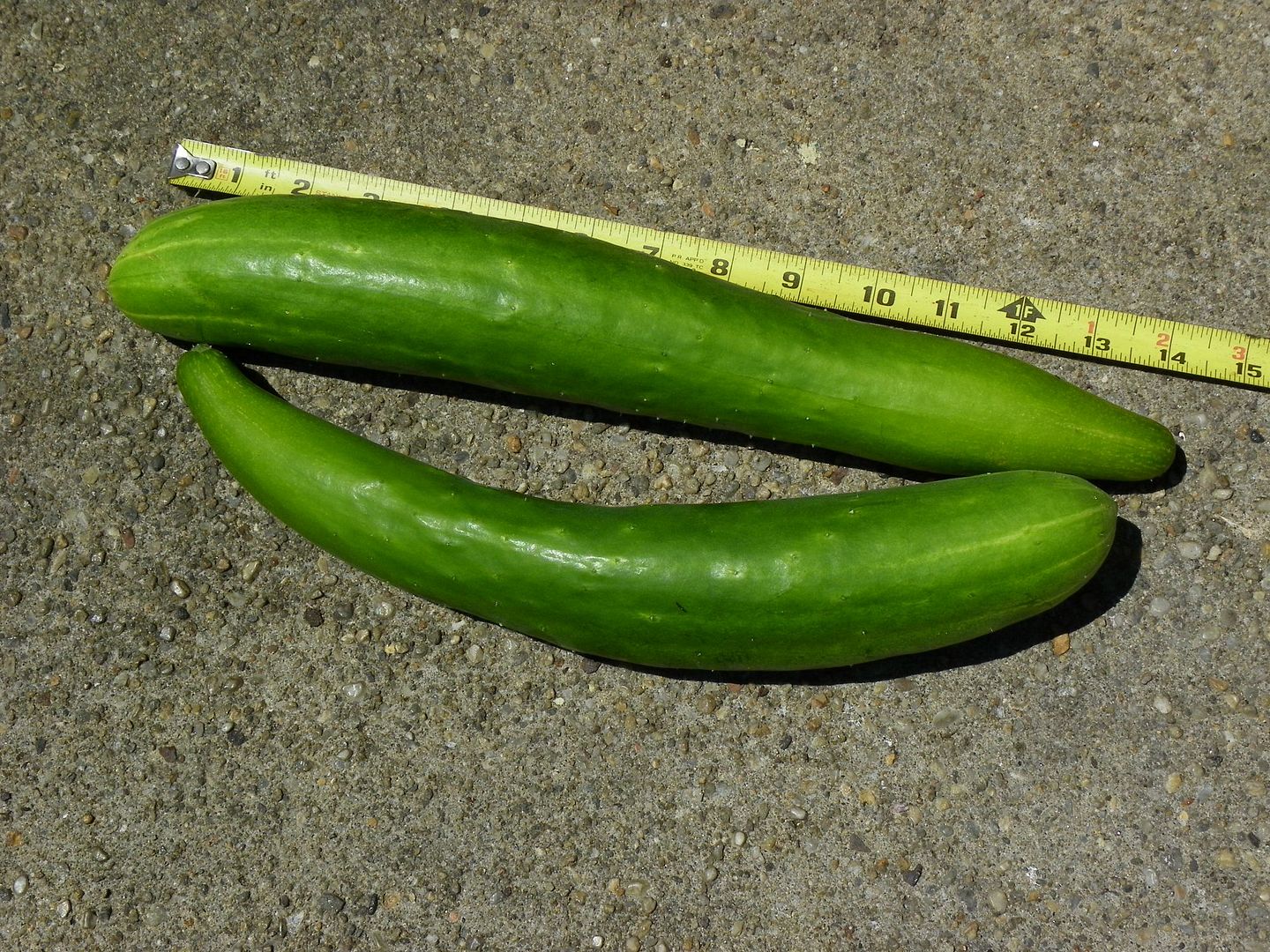  photo burpless_zps8d3e11c0.jpg